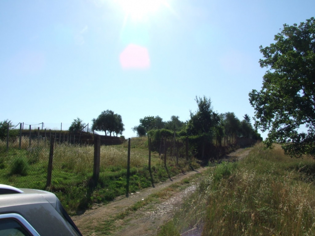 DSCF4851 (FILEminimizer).JPG